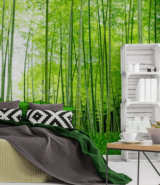 Bamboo stalks Wall Mural-Landscapes & Nature-Eazywallz