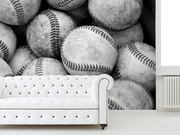 Baseball Bucket Wall Mural-Sports-Eazywallz