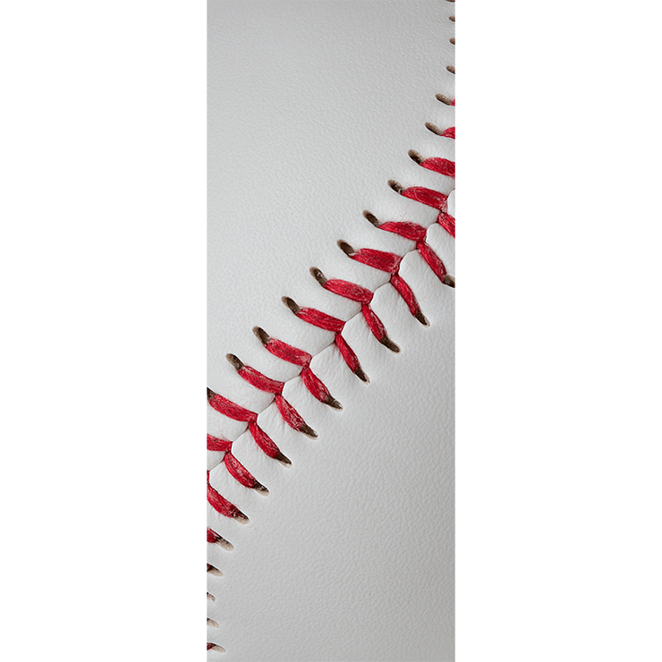 Baseball Door Mural-Sports-Eazywallz