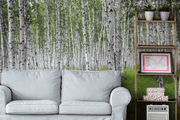 Bright Birch Forest Wall Mural-Landscapes & Nature,Patterns,Textures,Best Rated Murals-Eazywallz