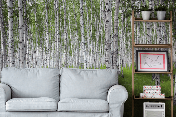 Bright Birch Forest Wall Mural-Landscapes & Nature,Patterns,Textures,Best Rated Murals-Eazywallz