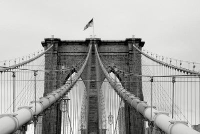 Brooklyn Bridge Cables Wall Mural-Black & White,Buildings & Landmarks,Urban,Featured Category-Eazywallz