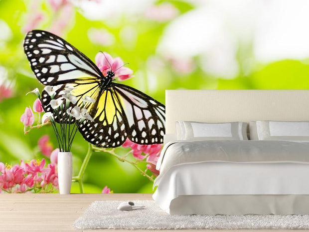 Butterfly on a flower Wall Mural-Animals & Wildlife,Florals,Macro,Featured Category of the Month-Eazywallz