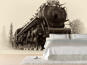 Canadian steam train Wall Mural-Transportation,Vintage-Eazywallz