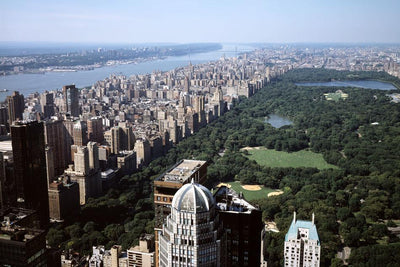 Central Park Over View Wall Mural-Cityscapes-Eazywallz