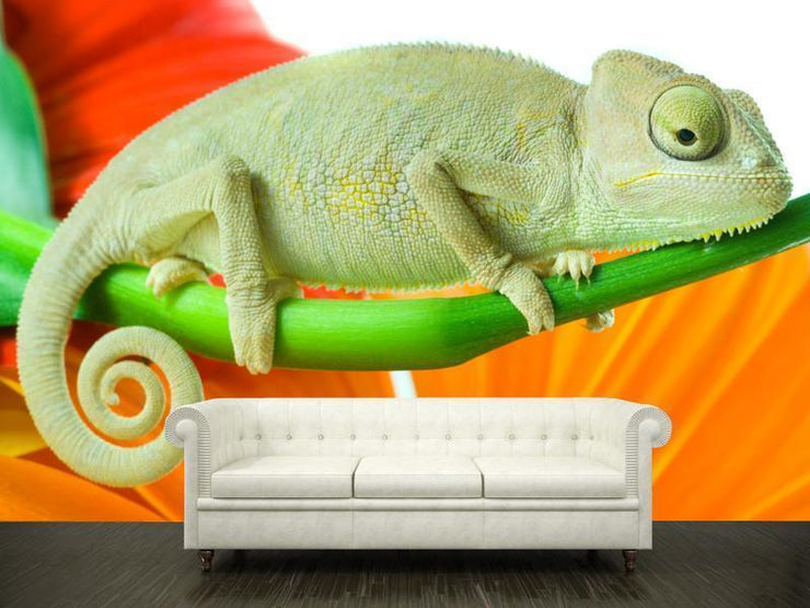 Chameleon on flower Wall Mural-Animals & Wildlife,Macro-Eazywallz