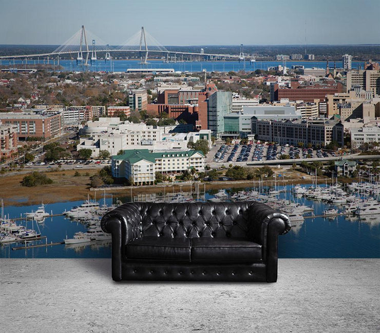 Charleston, South Carolina Skyline Wall Mural-Cityscapes-Eazywallz