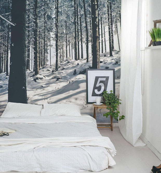 Cold Winter Nature Wall Mural-landscape-Eazywallz
