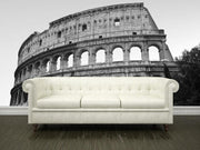 Colosseum in Rome, Italy Wall Mural-Buildings & Landmarks-Eazywallz