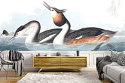 Crested Ducks Wallpaper Mural