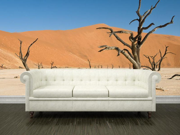 Dead acacia trees in desert Wall Mural-Landscapes & Nature-Eazywallz
