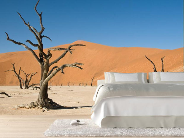Dead acacia trees in desert Wall Mural-Landscapes & Nature-Eazywallz