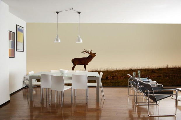 Deer in the Evening Light Wall Mural-Animals & Wildlife,Panoramic-Eazywallz