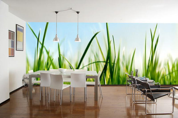 Delicate Grass Wall Mural-Macro,Textures,Panoramic-Eazywallz