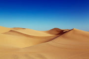 Desert Under Blue Sky Wall Mural-Landscapes & Nature-Eazywallz