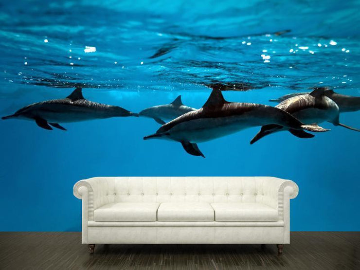 Dolphins in the sea Wall Mural-Animals & Wildlife,Best Rated Murals-Eazywallz