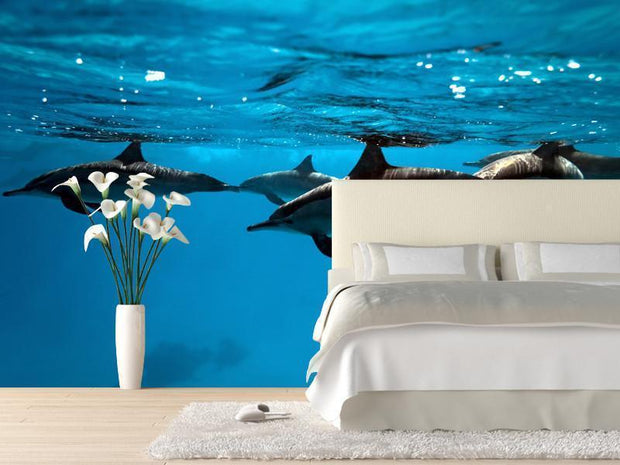 Dolphins in the sea Wall Mural-Animals & Wildlife,Best Rated Murals-Eazywallz