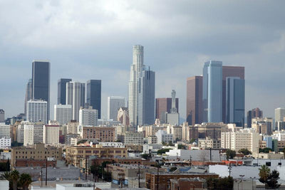 Downtown Los Angeles Wall Mural-Cityscapes-Eazywallz