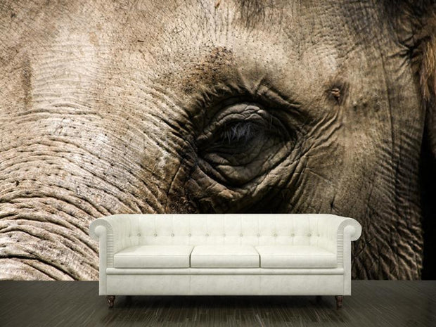 Elephant close up Wall Mural-Animals & Wildlife-Eazywallz