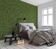 Evergreen Removable Wallpaper-wallpaper-Eazywallz