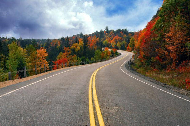 Fall scenic highway Wall Mural-Landscapes & Nature-Eazywallz