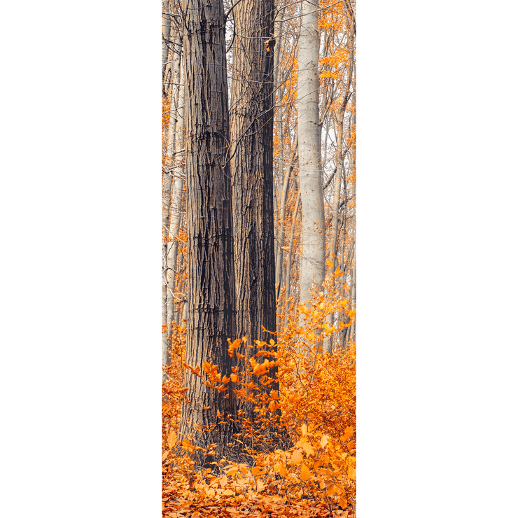 Fall Trees Door Mural-Landscapes & Nature-Eazywallz