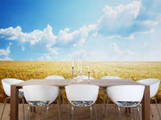Field of Barley Wall Mural-Food & Drink,Landscapes & Nature-Eazywallz
