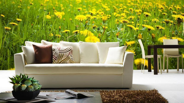 Field of Dandelions Wall Mural-Florals,Landscapes & Nature,Panoramic,Featured Category of the Month-Eazywallz