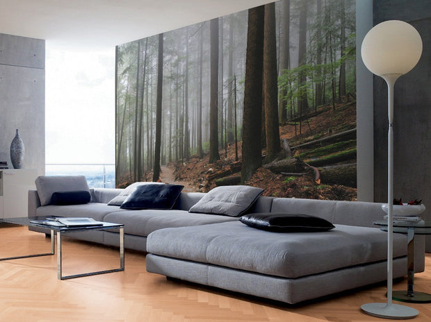 Foggy Forest & Hiking Trail Wall Mural-Landscapes & Nature-Eazywallz