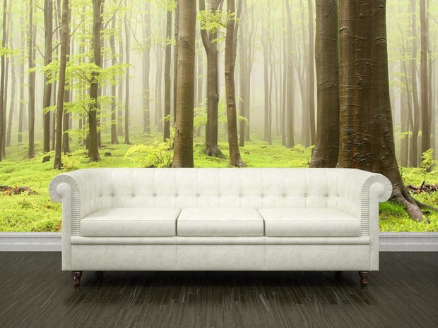 Forest in spring Wall Mural-Landscapes & Nature-Eazywallz