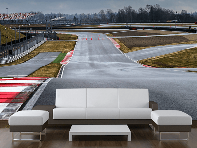 Formula Race Track Wall Mural-Sports-Eazywallz