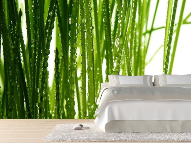 Fresh green straws Wall Mural-Macro,Textures,Staff Favourite Murals-Eazywallz