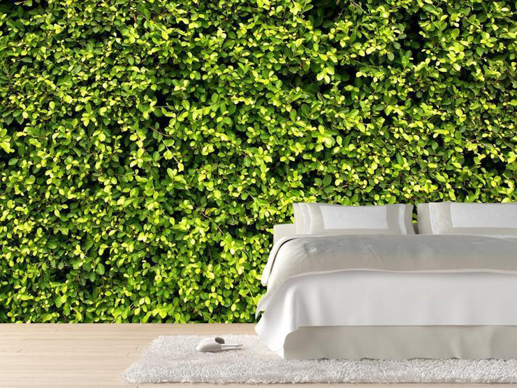 Garden hedge texture Wall Mural-Textures-Eazywallz