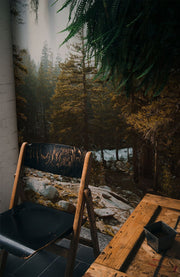 Golden Hour at Yosemite Park Wall Mural-Landscapes & Nature-Eazywallz