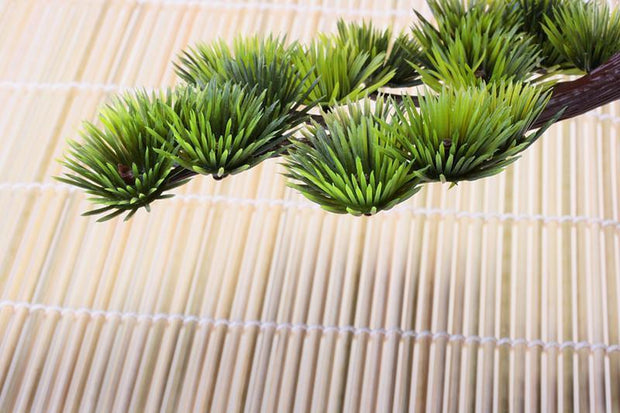 Green branch of a Japanese pine Wall Mural-Zen-Eazywallz