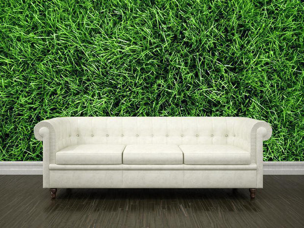 Green grass field Wall Mural-Textures-Eazywallz