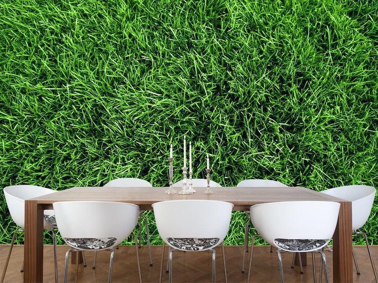 Green grass field Wall Mural-Textures-Eazywallz