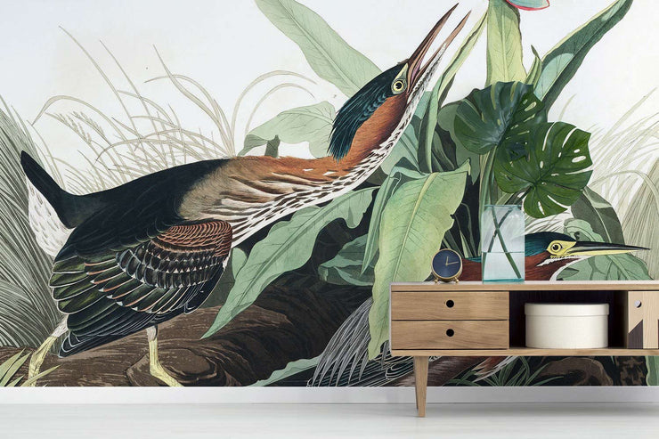 Green Herron Wallpaper Mural