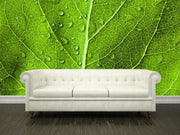 Green leaf texture Wall Mural-Macro,Textures-Eazywallz