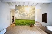 Green meadow under blue sky Wall Mural-Landscapes & Nature-Eazywallz