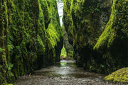 Green River Ravine Wall Mural-Landscapes & Nature-Eazywallz