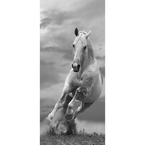 Grey Horse Door Mural-Animals & Wildlife,Black & White-Eazywallz