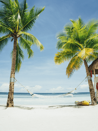 Hammock in Paradise Wall Mural-Landscapes & Nature,Tropical & Beach-Eazywallz