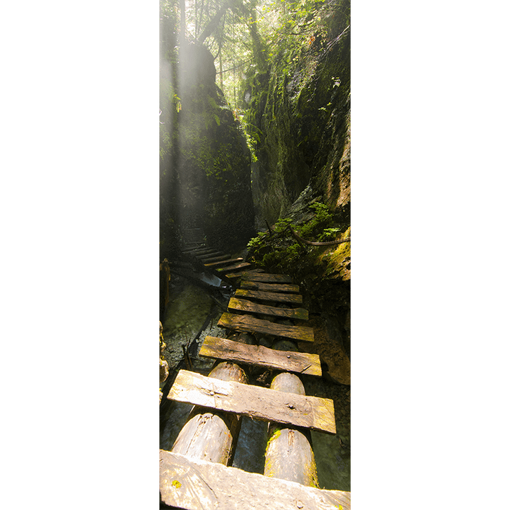 High Bridge through Forest Door Mural-Landscapes & Nature-Eazywallz