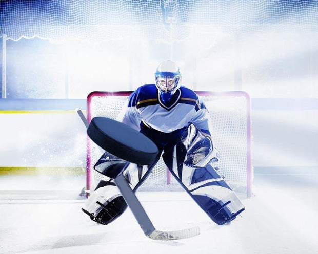 Ice hockey goalie Wall Mural-Sports-Eazywallz