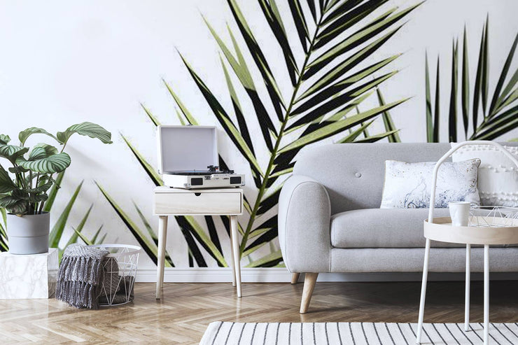 Fan Palm Leaf Wallpaper Mural