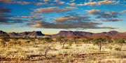 Kalahari Desert Wall Mural-Landscapes & Nature,Panoramic-Eazywallz