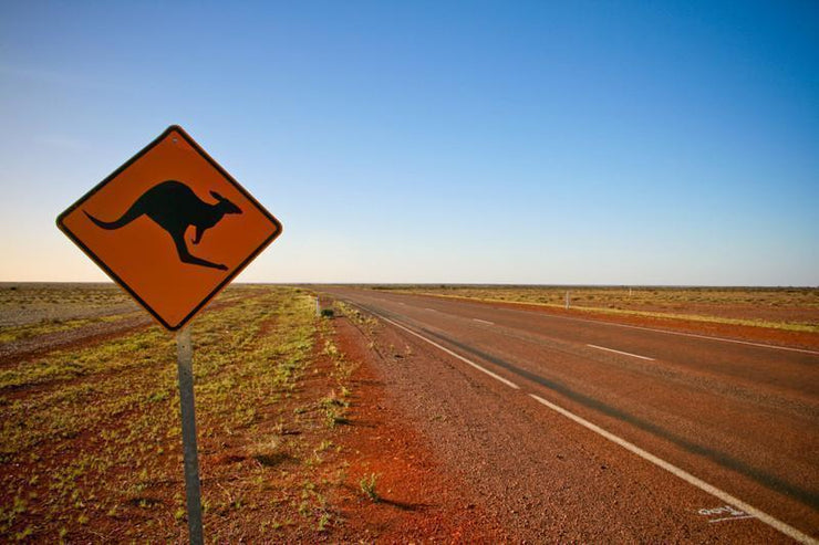 kangaroo crossing road sign Wall Mural-Landscapes & Nature-Eazywallz