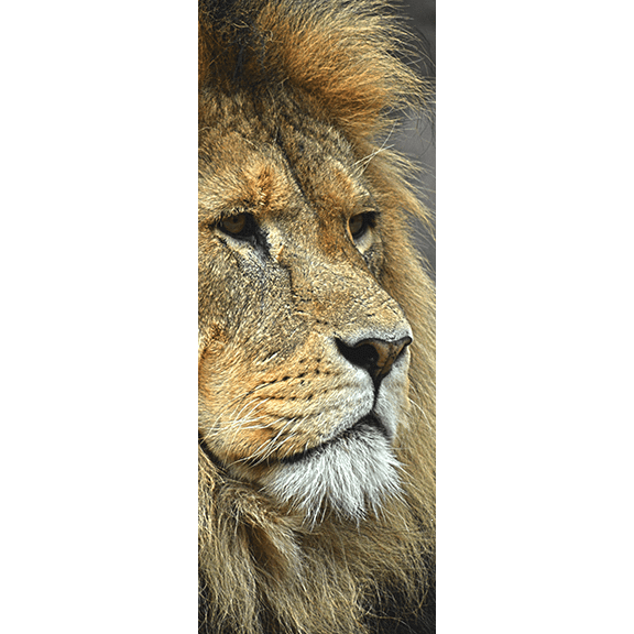King of the Jungle Door Mural-Animals & Wildlife,Black & White-Eazywallz