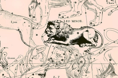Leo Constellation Map in Beige Wall Mural-astrology-Eazywallz